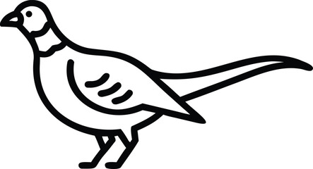 Minimalist Pheasant Standing on White Background Elegant Bird Design