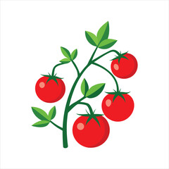 Red Tomato Vine Painting Isolated Vector