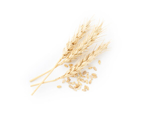 Wheat spikes and grains isolated on white, top view