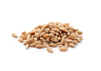 Pile of ripe wheat grains isolated on white