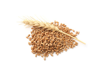 Wheat grains and spikelet isolated on white, top view