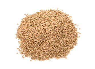 Pile of ripe wheat grains isolated on white, top view