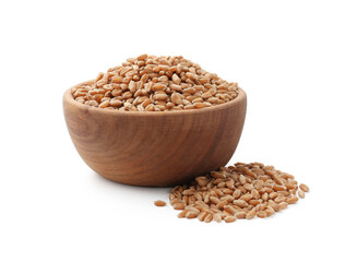 Wheat grains in bowl isolated on white