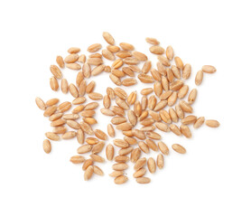 Many ripe wheat grains isolated on white, top view