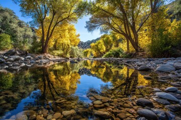 Autumnal creek, golden trees reflect in calm water