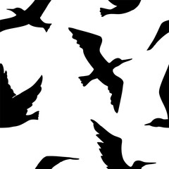 Seamless pattern with Flying Birds. Black and white vector illustration. Hand drawing silhouette. Animal background.