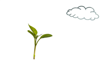 Cloud Watering a Sprout Growth, Nature, and New Beginnings an AI Generated by PNG