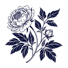 Peony Flower Illustration in Blue