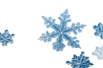 cluster translucent crystalline ice shards scattered across serene blue on AI generated by PNG