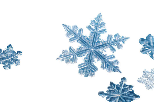 cluster translucent crystalline ice shards scattered across serene blue on AI generated by PNG