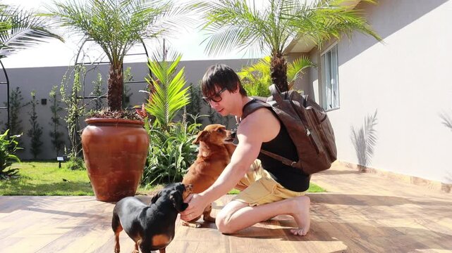 homem faz carinho em cachorros em casa , amor   canino 