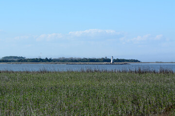 Cockspur Island Lighthouse Seascape 