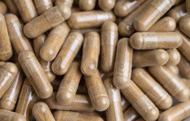 Close up of Light Brown Capsules Filled with Natural Supplement Powder