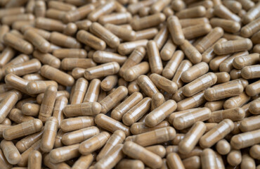 Close up of Light Brown Capsules Filled with Natural Supplement Powder