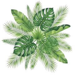 Tropical foliage arrangement isolated on transparent background