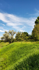 landscape with trees and blue sky wallpaper	