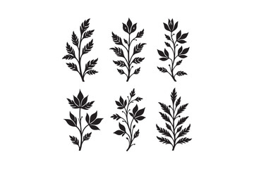 Set of six black botanical illustrations of leaves and stems