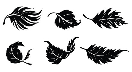 Collection of six detailed black leaf silhouettes with organic textures and natural shapes. vector design. Silhouette vector design illustration
