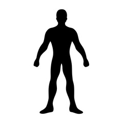 Full body human silhouette vector illustration for anatomy and figure drawing reference material