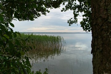  Evening view of Lake Narach in summer.                             