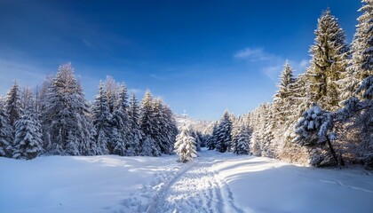 winter hiking adventure on snowy trail serene forest landscape captured in bright blue sky nature photography