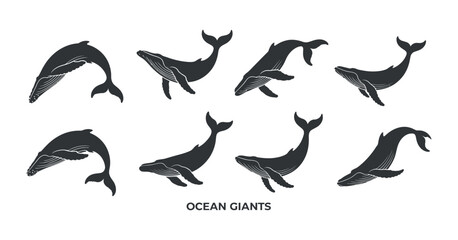 Ocean Giants Collection: A Set of Eight Humpback Whale Silhouettes in Various Poses for Marine Life Designs