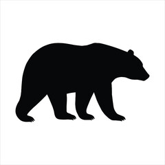 Silhouette of a powerful black bear walking with its head down against a clean white background