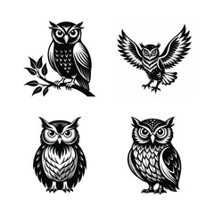 Vector Illustration of group of owl