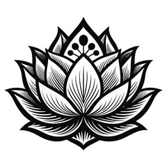 Lotus Flower Engraving Style White Background