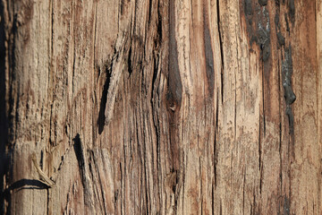 old wood texture