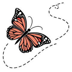 butterfly on a flower