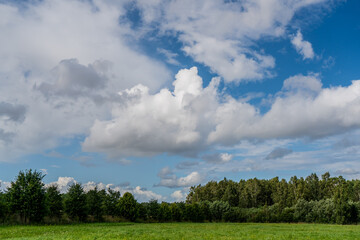 Dramatic cumulus clouds forming above summer meadow and forest in european countryside under blue sky showing natural weather conditions and peaceful rural landscape