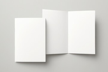Blank white tri fold brochure and a single folded card mockup on a light gray background