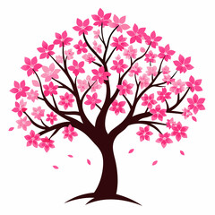 Fototapeta premium Pink cherry blossom tree silhouette vector, white background