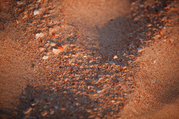 sand desert beach sea