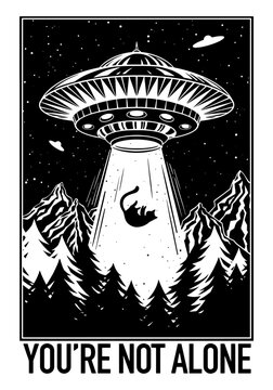 You are not alone. UFO abducting a cat