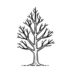 Obraz premium Bare tree silhouette isolated on white canvas exemplifies nature's stark beauty. Bare tree with stark outline. Minimalist bare tree aesthetic for botanical studies or minimalist design.