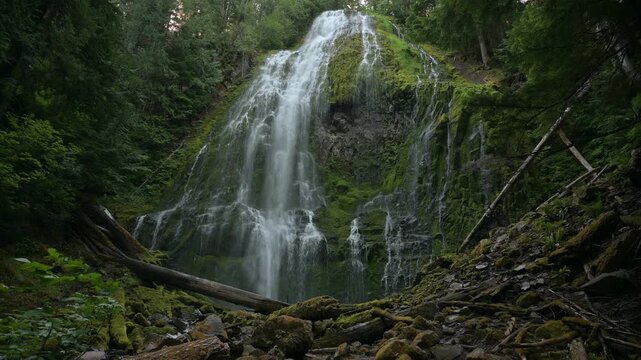Proxy Falls flows down moss-covered cliffs deep within Oregon dense forest