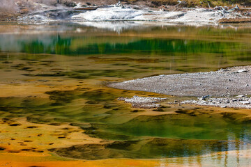 Vibrant Yellowstone Hot Pool