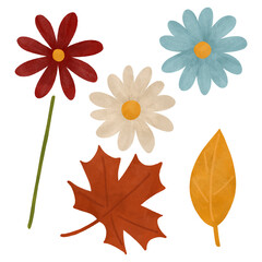 Simple flowers and leaves, a set of elements in autumn colors, isolated on a white background. Festive, watercolor, hand-drawn elements of flat design