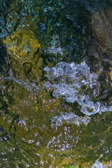 Obraz premium 激しく流れる透明な清流