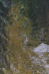 激しく流れる透明な清流