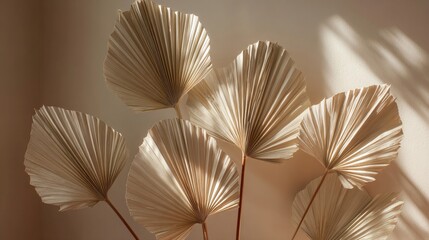 Close-up of golden dried ginkgo leaves on neutral background showcasing natural textures and elegant shapes
