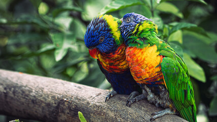 naturaleza 