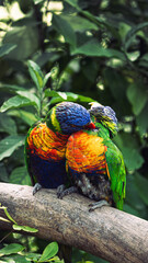 naturaleza 