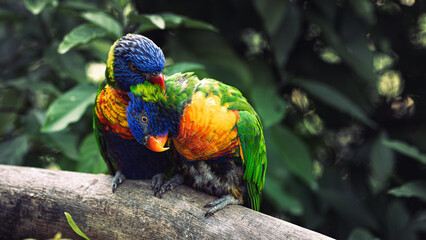 naturaleza 