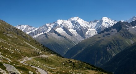 Scenic alpine road winds through grassy slopes towards majestic snow capped mountains under a clear blue sky
