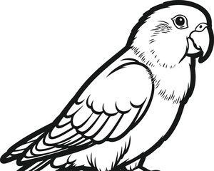 Obraz premium Parrot outline vector drawing bird illustration design art