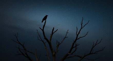 Crow Perched on Bare Tree at Night with Stars