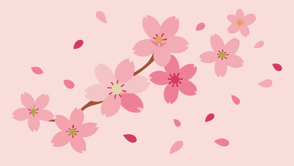 Fototapeta premium Delicate cherry blossom branch with floating petals against a soft pink background